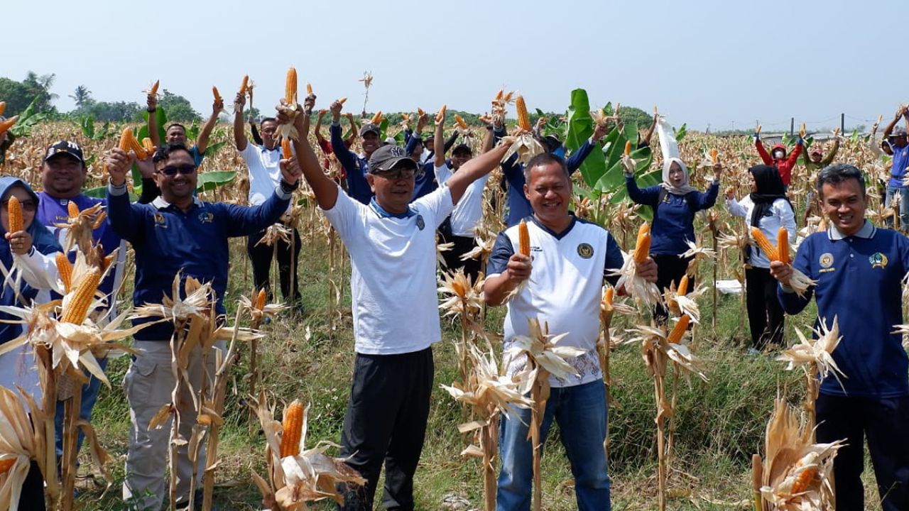 Lahan SAE Berbuah, Lapas Kendal Panen 8 Ton Jagung