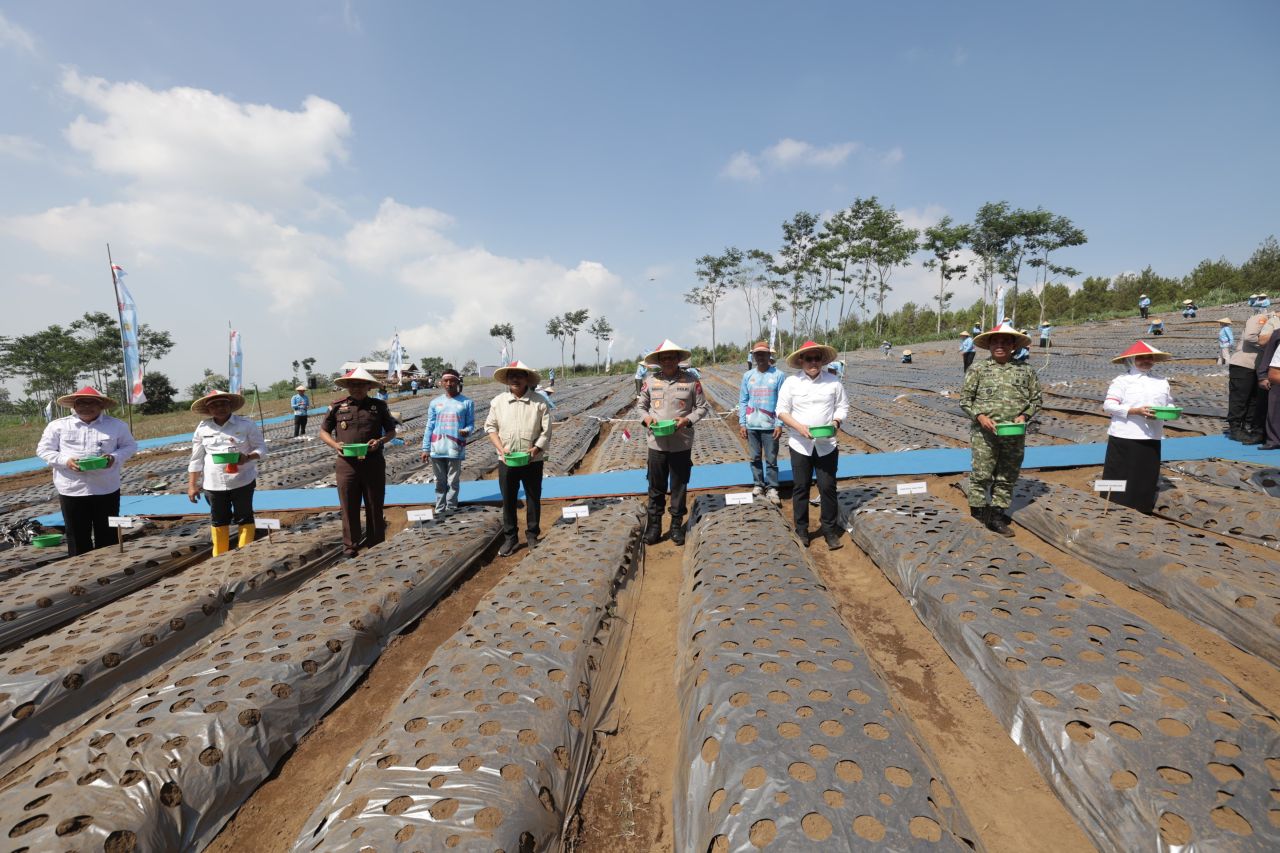 Polda Jatim dan Petani Tanam Bawang Putih di Lahan $eluas 1,5 Hektare