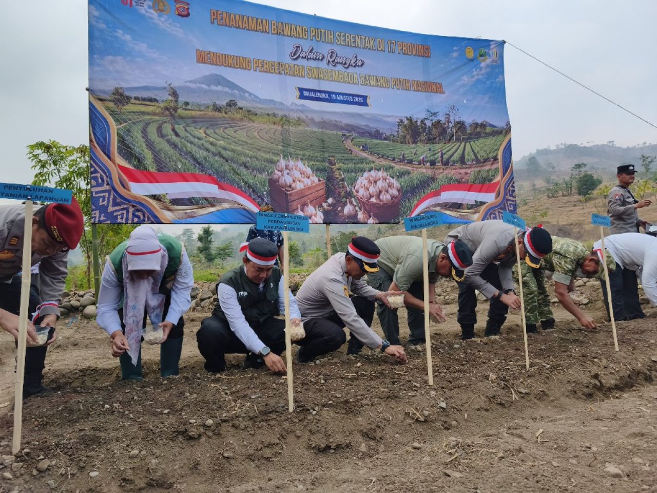 Majalengka Jadi Lokasi Demplot Bawang Putih Kementan, Digelar di Nunuk dan Kancana