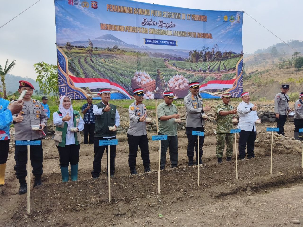 Petani Majalengka Mulai Perluas Bawang Putih, Lahan Budidaya Capai 10 Hektare