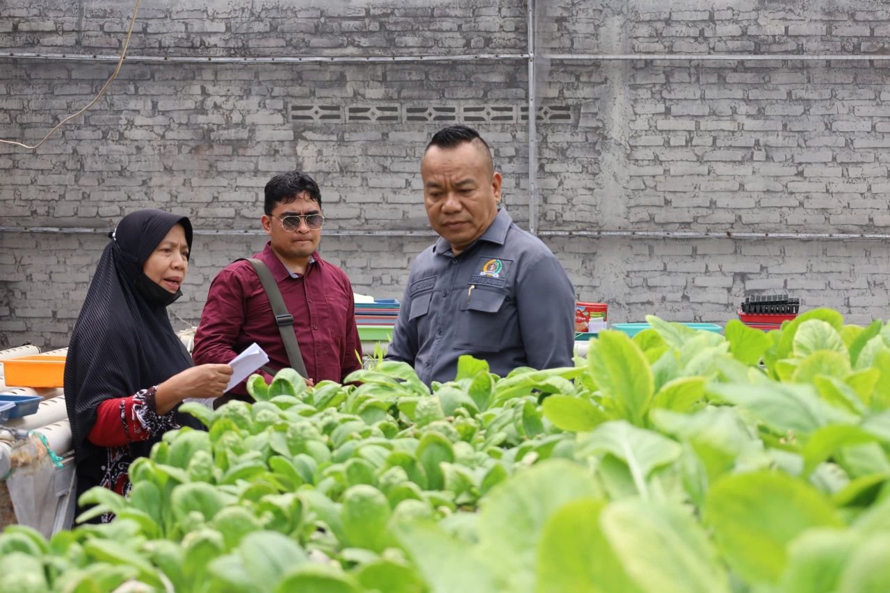 Kunjungi Kebun Hidroponik di Kedurus, Cak Yebe Kucurkan Bantuan Permodalan ‎