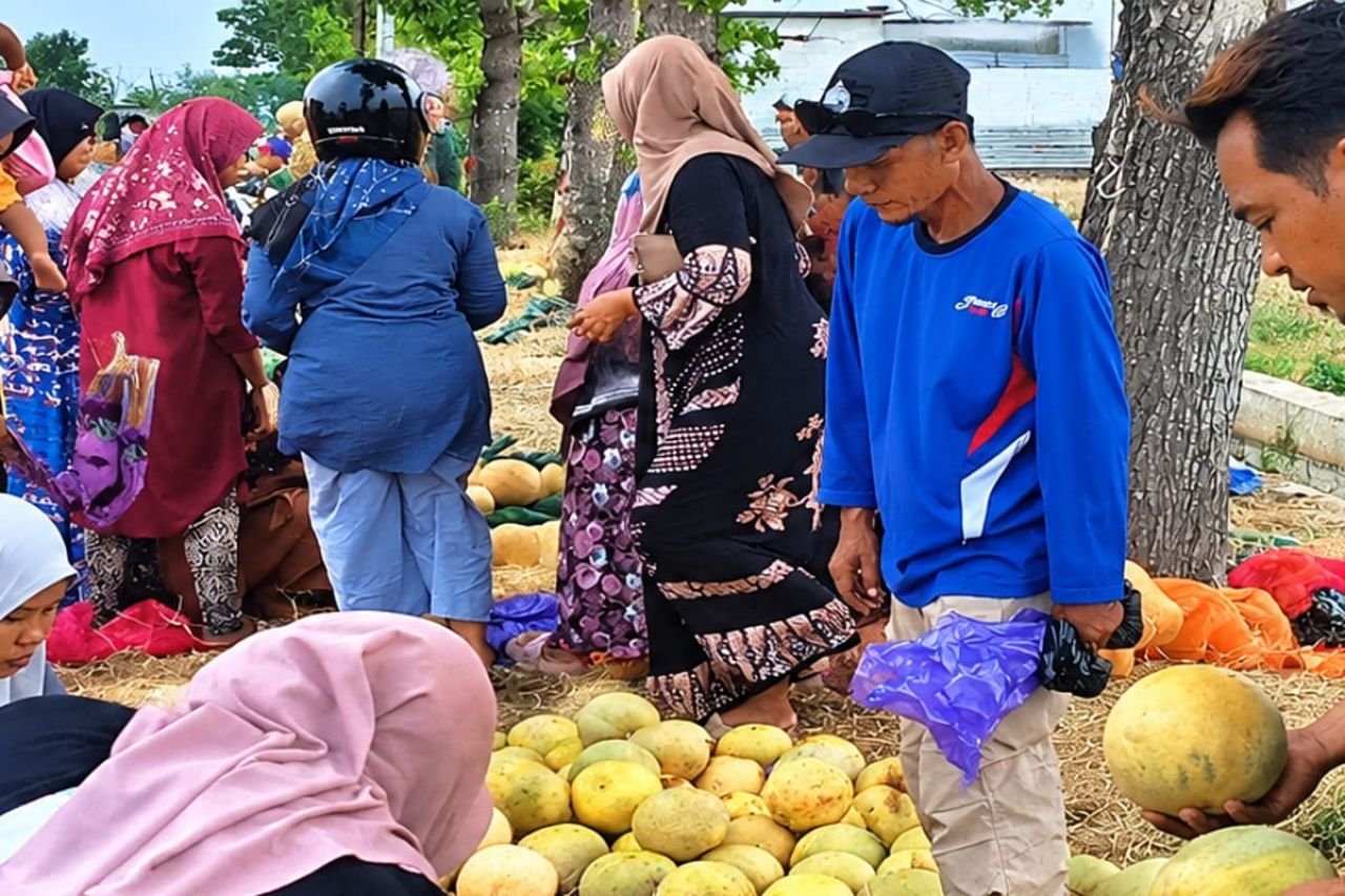 Cuma Gelar Lapak di Pinggir Sawah, Pedagang Melon dan Semangka Raup Omzet Rp15 Juta Sehari